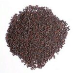 MUSTED SEEDS (small) KG