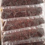 MUSTED SEEDS 15 x 1Sheet