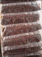 MUSTED SEEDS 15 x 1Sheet