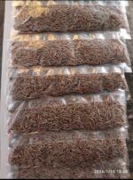 JEERA 15Packet x 1Sheet